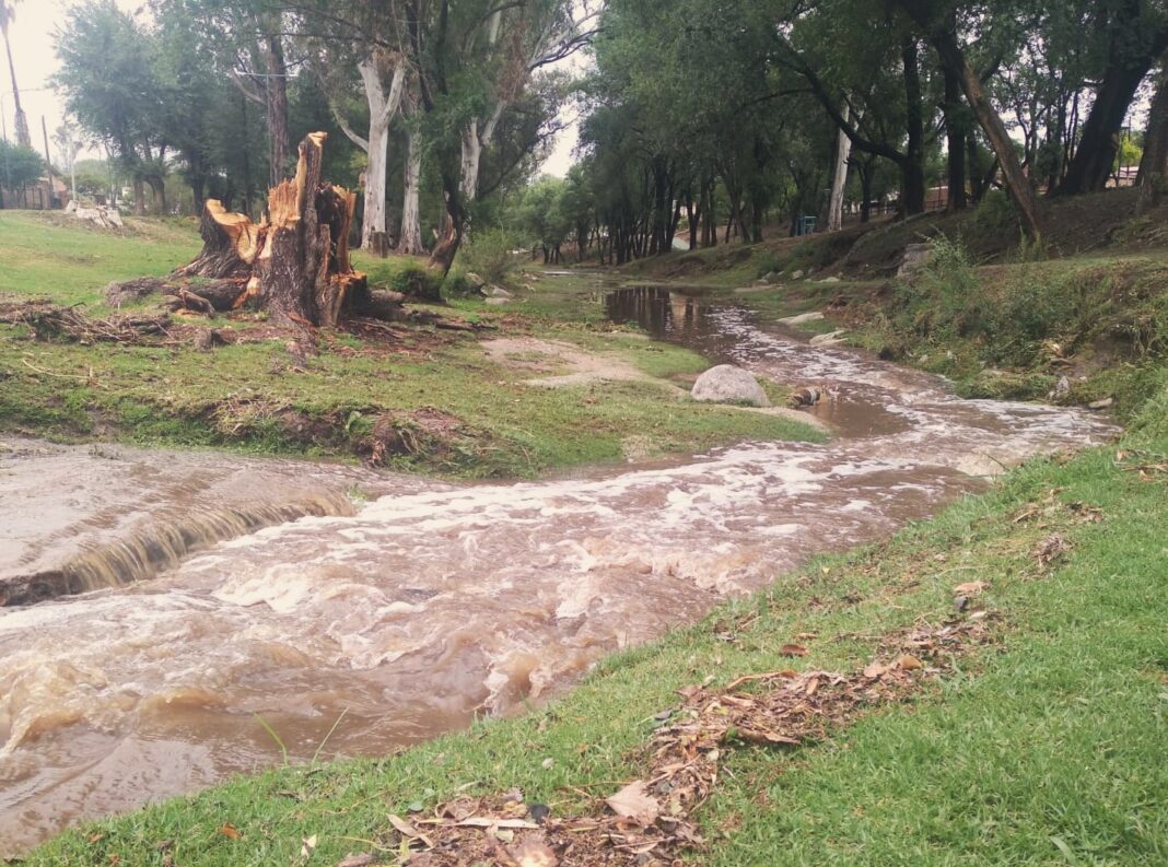 La Lluvia Trajo Algo De Alivio Y La Tormenta Derrib Rboles Y Postes