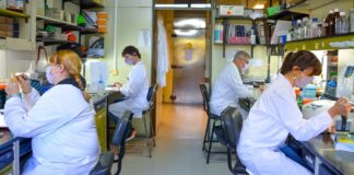 Alertan por fuerte caída de la inversión y los sueldos en ciencia y tecnología, desde que gobierna Javier Milei