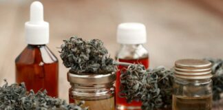 Cannabis medicinal: la humanidad tiene 10 mil años de uso de la planta y solo 80 de prohibición