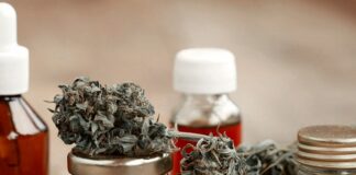 Genera preocupación la amenaza del Gobierno de dar de baja permisos a los usuarios de cannabis medicinal