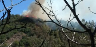 Máxima alerta por incendios forestales
