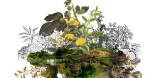 Inaugura muestra de fotografías, dibujos y collage digital en Casa Chorizo