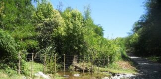 Arroyo alambrado: la mercantilización del agua en el Gran Córdoba