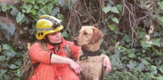 En silencio y con antorchas marcharán en Pilar, reclamando «Justicia por Luana»