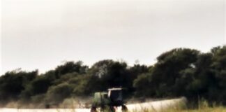 Agroquímicos en Falda del Carmen: pedirán a la Comuna, una zona de resguardo ambiental