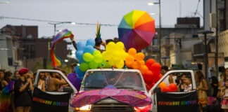 Convocan a feriantes y sponsors para el Carnaval Marika