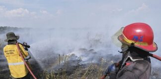 Incendios: recolectan ropa y medicamentos para donar a Corrientes