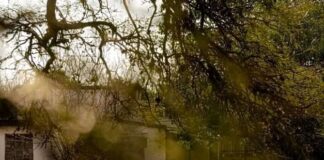 La memoria histórica de los barrios de Anisacate está saliendo a la luz