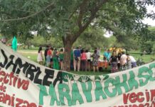«El cuidado del monte, del agua y de la tierra tiene que ver con la lucha contra la profundización de la desigualdad»