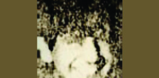 Lucio Altamirano, un desaparecido que empieza a ser nombrado en la región