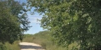 Invitan a una caminata recreativa que unirá Los Aromos con La Paisanita