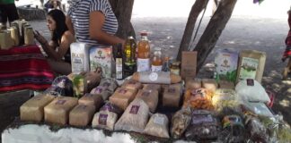 Alimentos sanos y de productores locales en la Feria Agroecológica Valle de Paravachasca