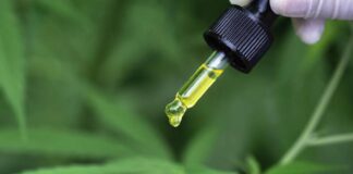 Manu Nomikarios: «Todo uso de cannabis es terapéutico»