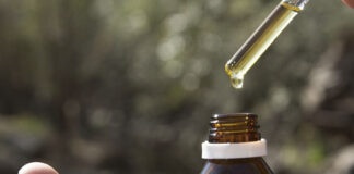 «Vanguardista»: Las ONG’s podrán cultivar cannabis