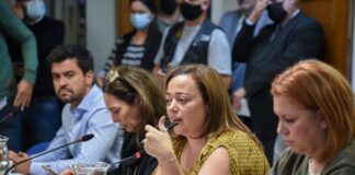 Ley de Alquileres: comenzó su discusión en el Congreso