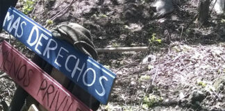 Todos por nuestros Arroyos: «Hay una decisión de avasallar derechos»