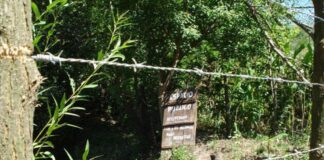 Arroyo alambrado: El Municipio evalúa llegar a la Corte