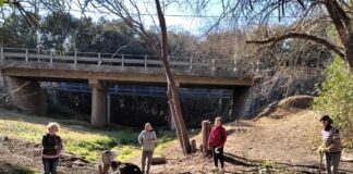 Falda del Carmen: invitan a jornada de restauración del arroyo