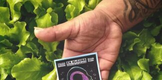 «En alguna parte de la galaxia»: un festival de la autogestión