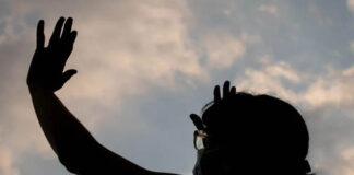 Año nuevo: El renacer de la vida