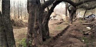 Valle Alegre: denuncian apropiación ilegal del arroyo