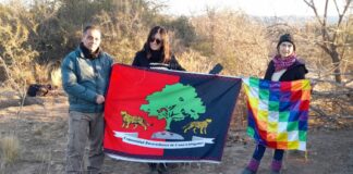 Autovía: advierten que peligra el patrimonio arqueológico