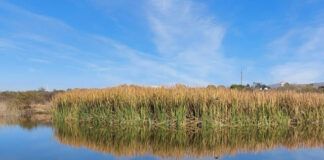 Piden que Potrero de Loyola se declare reserva ambiental