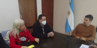 El proyecto de vuelta del tren a la Comunidad Regional