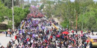 Encuentro de Mujeres y Disidencias: una trinchera que renueva las luchas