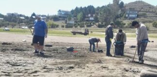 Mortandad de peces: Preocupa el estado del lago Los Molinos