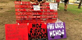 Alertan sobre un notable incremento en la tasa nacional de femicidios