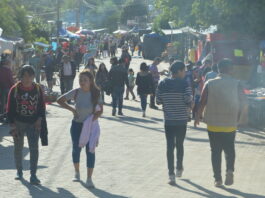 Peregrinación a La Gruta: residentes de la zona pueden retirar sus obleas de tránsito