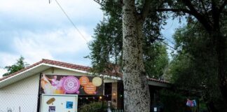 La grilla de actividades de Cañito Cultural va tomando vuelo