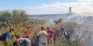 El Refugio Libertad será sede de unas jornadas sobre abordaje ambiental post fuego