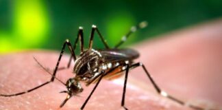 Alta Gracia lanza su campaña contra el Dengue con acciones directas en los barrios