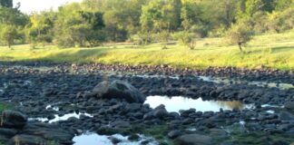 Denuncian que el Río Los Molinos trae un «caudal casi nulo de agua»