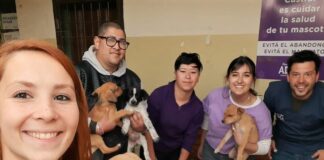 ADMA pide donaciones de «telas gruesas y calentitas» para los animales rescatados que tiene en resguardo