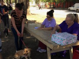 Santa Ana: realizarán una jornada de vacunación antirrábica en la Plaza San Martín