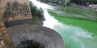 Lago San Roque: la Provincia tiene 60 días para presentar un plan de saneamiento