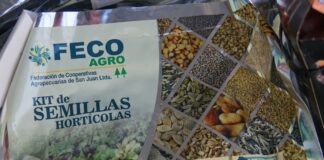 Anuncian nuevas entregas de semillas para huerta en los barrios