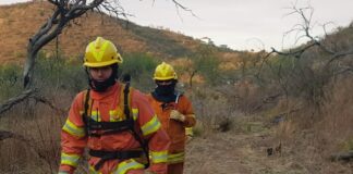 La Provincia decretó alerta ambiental por riesgo de incendios en Córdoba
