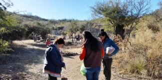 Proteccionistas demandan mayor compromiso municipal con la problemática animal