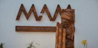 Gaia: la muestra de Ivanna Schiller llega al Museo Arqueológico Municipal