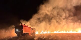 «¿Y después del fuego qué hacemos?»: invitan a una caminata por la cicatriz de los incendios para tomar conciencia