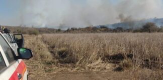 Alejandro Sosa sobre los incendios: “Jamás había sucedio algo así, es totalmente atípico e intencional”