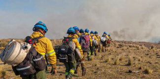 Alertan que el riesgo de incendios es extremo en toda la provincia de Córdoba