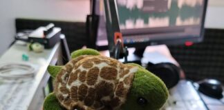 Conocé la programación 2024 de la Radio Tortuga: pluralidad de voces y miradas en el aire