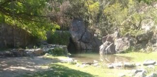 Advierten que la expansión de Alta Gracia afecta bosques nativos, recarga de acuíferos y flujo del agua en arroyos