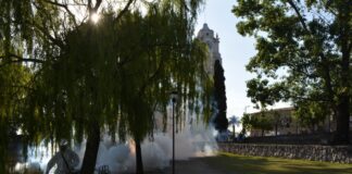 Mosquitos: continúa la fumigación en los barrios