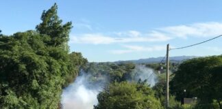 Los Aromos: confirman caso de dengue y aplican medidas para prevenir la propagación del virus